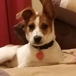 Meet your Posher, Sonia